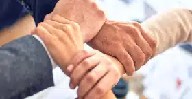 Firm Handshake with Team